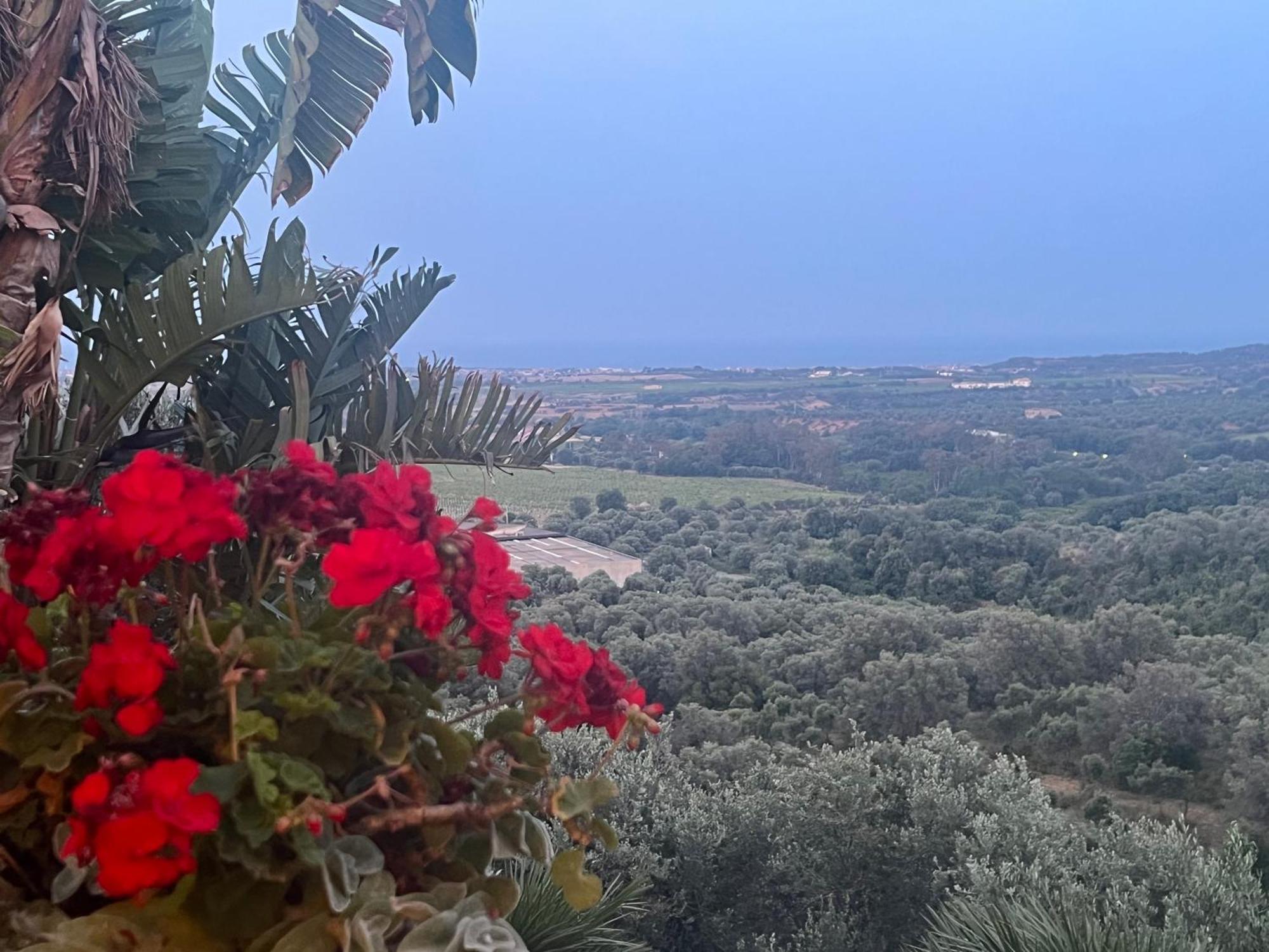 Agriturismo Catena Ciro 외부 사진