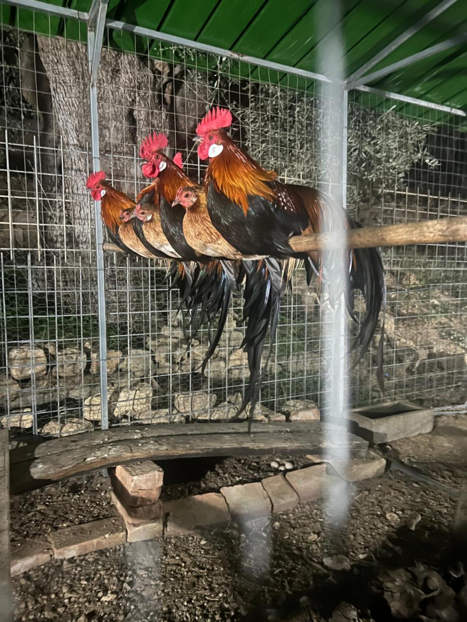 Agriturismo Catena Ciro 외부 사진